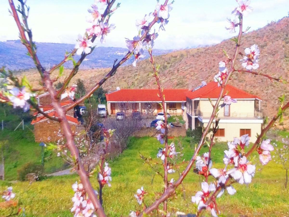 Quintas Do Valbom E Cuco Torre De Moncorvo Zewnętrze zdjęcie